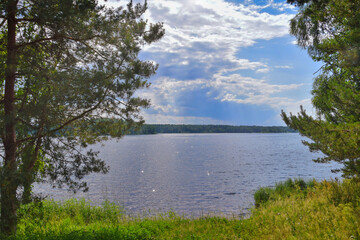 Forest shore of Lake Seliger in summer