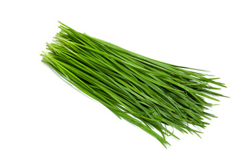 Fresh Chinese Chive or Kui-chai isolated on white background