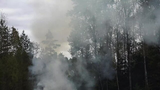 Smoke is a collection of airborne particulates and gases emitted when a material undergoes combustion or pyrolysis