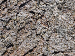 sandy shore of the lake prints of human footprints and water flows