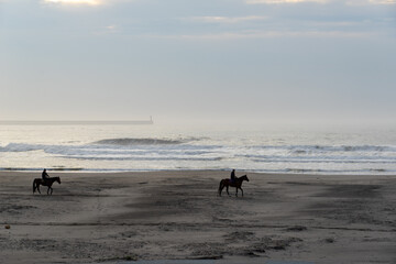 霧中の海と乗馬