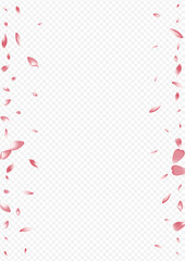 Fototapeta na wymiar White Flower Vector Transparent Background. Rosa