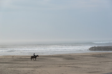 霧中の海と乗馬