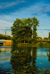 lake in the park