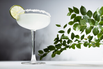 Margarita cocktail in glass goblet with sugar rim and slice of lime in summer sunlight with green branch in minimal white and gray interior or outdoor.