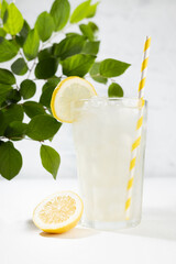 Cold juicy lemon cocktail in glass with straw, ice cubes, yellow slice with green branch in summer sunlight in soft light white kitchen interior  with marble tile or garden, closeup, vertical.