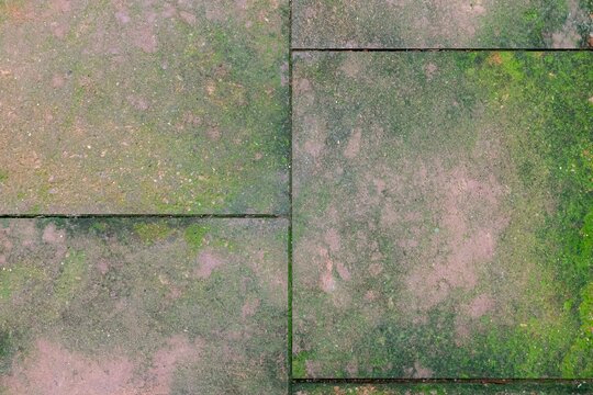Brown exterior stone floor tiles with moss growing texture and background seamless