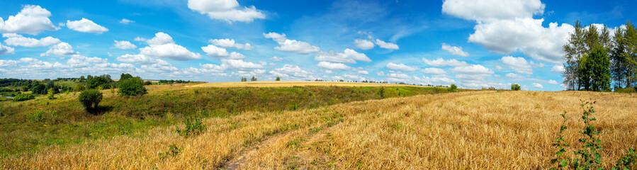 Obraz premium Summertime scenery.Beautiful rural view of blue sky over the golden wheat fields during sunny summer day.Summer panorama.