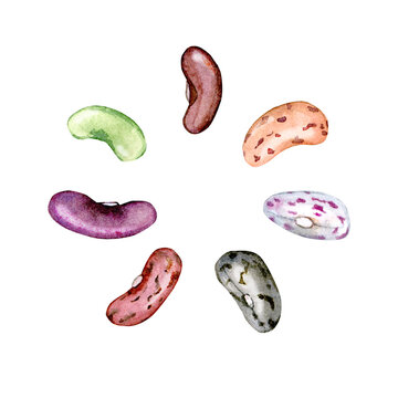 Watercolor Kidney Beans.