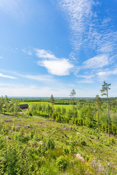 View of a clearcut area and a farm at the farest