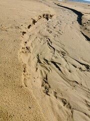 sandy shore of the lake prints of human footprints and water flows