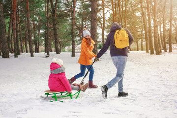Fototapeta na wymiar Happy family sledging in park on winter day
