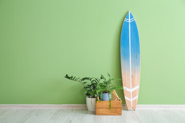 Surfboard and houseplants near color wall