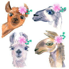 Set of cute hand drawn llamas. With cheerful eyes. Flowers and wreaths on the head. © Elena