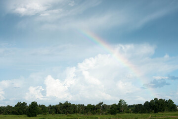 rainbow over the field