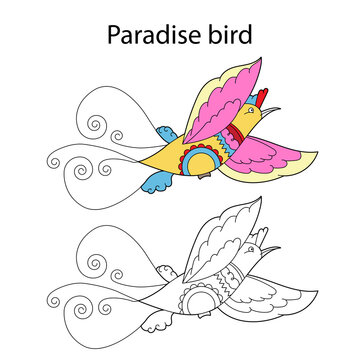 Funny cute paradise bird isolated on white background. Linear, contour, black and white and colored version. Illustration can be used for coloring book and pictures for children
