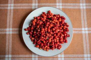 Wild strawberries in a plate on the kitchen table. Countryside and holidays