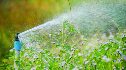 Sprinklers for watering plants in large agricultural plots. watering plants in agricultural fields - obrazy, fototapety, plakaty