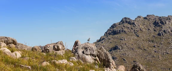Deurstickers Panorama in the Bain's Kloof in the Western Cape of South Africa © Christian Dietz