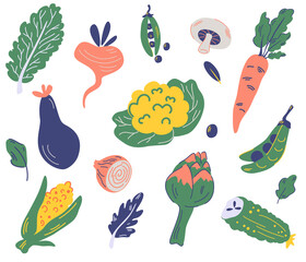 Set of vegetables. Cauliflower, lettuce, eggplant, peas, carrots, radishes, corn, artichoke, mushrooms, onion, cucumber. Organic and healthy food. Fresh Various delicious vegetarian vegetables.Vector
