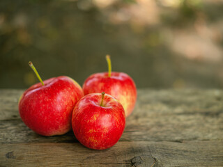 Three delicious country apples on the bench with the space for your text. Selective focus, the beautiful rustic concept of the season of harvest.