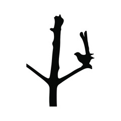 Fototapeta premium silhouette bird on white background. vector illustration