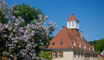 Old school house now used as the local city hall with lilac bush (Syringa vulgaris) at foreground in Waldhilsbach, a small village near Heidelberg in Baden-Württemberg Germany