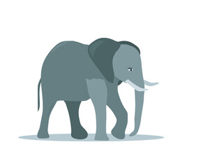 the gray elephant is standing