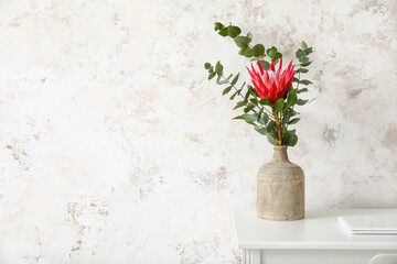Protea flower on table near light wall