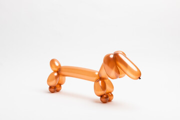 A cute little dachshund puppy made from a transparent brown 260 magic balloon on a white background.