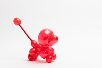A cute little poodle made of transparent red 260 magic balloons on a white background.