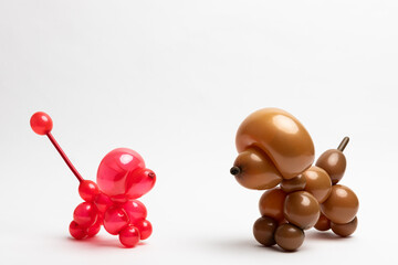 A cute little poodle made from a transparent red 260 magic balloon on a white background and a...