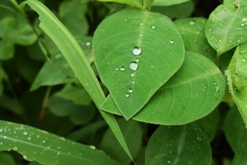 Nature never goes out of style