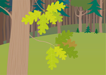 Oak in the forest. Vector illustration. - 446572436