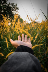 hand holding a plant