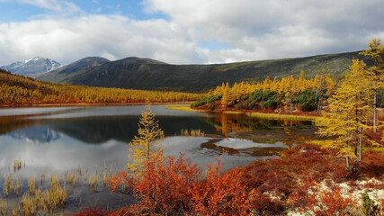 Russia, the region of the Kolyma river. Larch trees on the shores of Lake Jack London.