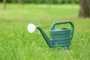 Naklejka na ściany i meble Watering can for gardening on grass