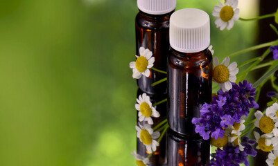 Bottle of essential oil and flowers green frame stock images. Brown glass vial, flowers and herbs with copy space for text. Spa and wellness setting with with lavender and chamomile images