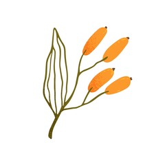 Decorative autumn branch with leaf and yellow fruits. Twig with leaves and ripe fall berries. Abstract plant for decoration. Flat vector illustration of design element isolated on white background