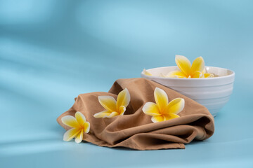 Obraz na płótnie Canvas frangipani flower on blue background