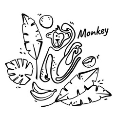 Vector illustration. The image of a monkey in exotic plants and fruits. Hand drawing. Sketch.