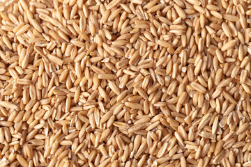 texture from oat grains