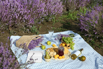 Tasty food and drink for romantic picnic in lavender field