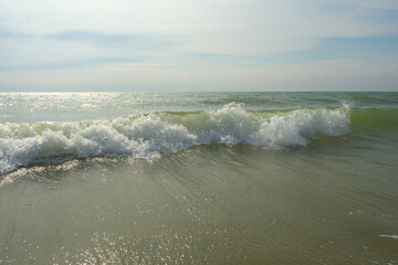 Baltic Sea. Wave with a white crest in summer.