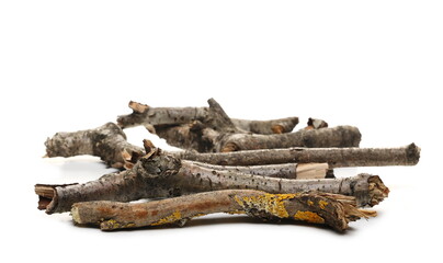 Dry, rotten twigs covered with lichen isolated on white background