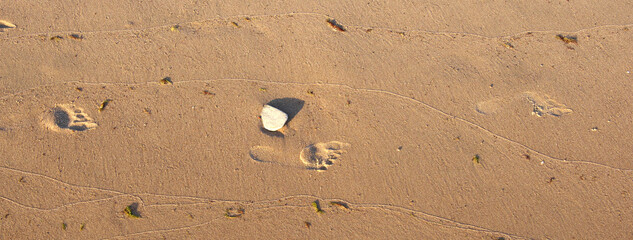 Human footprints in the damp sea sand. Panoramic photo.