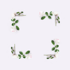 Nature summer frame made of flower with bright background. Women's day or valentine's day minimal concept with creative copy space. Love composition wallpaper idea. Flat lay. Top view.