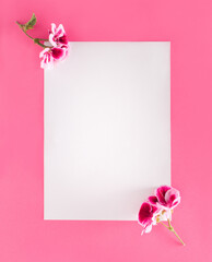 Modern magenta background with flowers in the corner white creative copy space. Flat lay. Top view.
