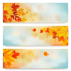 Three Abstract Autumn Banners With Color Leaves