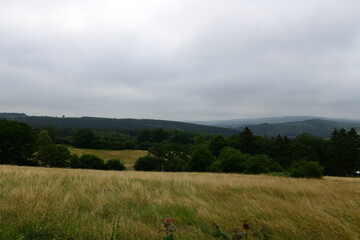 Fototapeta premium beautiful views on the country side of belgium, europe